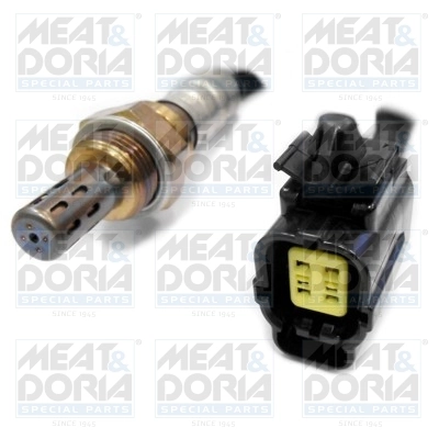 Oxygen Sensor